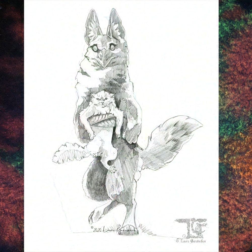 Pencil drawing of a croyote carrying a cat that looks extremely grumpy and has its tail fluffed up. The croyote looks quizzical and very pleased with itself.