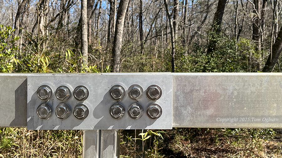 A very industrial-looking silver steel bridge spans a new creek flow in Sesquicentennial State Park in South Carolina. These trees were heavily damaged ten years ago, and now, the verdant pine forest is recovering still, yet again we have a beautiful terrain. River cane has returned, and a promising blue sky covers far behind the trees. This is what we now call the FEMA Bridge, all who frequent the Park. For it represents a bond between the people and a Government Agency which once care for all in need.

This is a photograph of when things work, when needs are met and the people of a Nation are visited by relief and repair after such devastation. Here is what for a few years, through a number of tropical storms and hurricanes between January 2015 to January 2021 that through flood and fire, hurricane, tornado and cyclone, deluge of snow, an incredibly large swath of landscape in Sesquicentennial State Park, just outside of Columbia, South Carolina was altered forever.

But we all knew that relief would come.

In State Parks we are seeing fires and floods decimate the timber, the lands, even the waterways. In 2015 Sesqui was a disaster zone. South Carolina has had flooding now for ten long years, with prolonged seasons of record setting flooding many times. This is climate change, and FEMA was always there to help individuals, communities, counties and states recoup.

Until now.

Western North Carolina is still reeling from Hurricane Helene, encumbered by lack of bridges and road repair which never came.

Even when our Nation had FEMA fully operational, it often was the precursor, as in the case of Sesquicentennial, a tremendous outpouring of funds and volunteers, workers from other states and even some countries who sent help in as a welcome tide of support.

When will it return to us?

