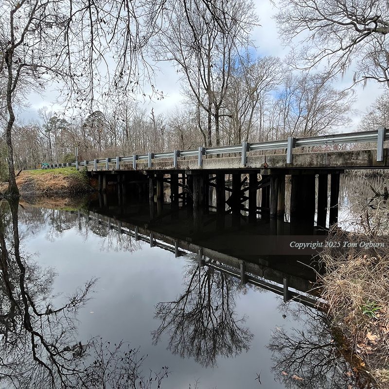 A timeless square shot, of a bridge  crossing the Little Pee Dee River in northeastern-most South Carolina. The day is still, white clouds calmly abiding ahead of blue sky. The blackwater mirrors darkly the sky above. Still water, currents only underneath, carrying secrets within its deeper recesses. The underside of this bridge is mirrored, casting a near-black shadow. It seems suspended through ebony reversal.

To read the full story:

https://theparkwaysprojects.substack.com/p/a-bridge-too-far

Just over a year ago, I began to wander my Jeep into the deep Carolina Bays region of the two states as part of 'The Parkways Projects.' Where the two states conjoin. It is not a place of ease, no matter your constitution nor your mindset. It’s an eerie place of separatist belonging, for I felt I belonged there by birthright but was excluded by today's currents.

In these Carolina Bays, it is the crows which sound the back and forth of present participles versus past tense. These murders of crows were out in abundance on this trip into the swamp basins of the Carolina Bays crossings between Little Pee Dee State Park (South Carolina) and one of the newest North Carolina State Parks, Lumber River.

It's an old bridge but with a new and shiny guard rail assembly. Nothing like an allegory there, for we are not about that, no, especially not in Carolina Bay territory. Lumbees. Witches. Panthers—or paints. Others. Neithers. Amalgams from the in-betweens. Dark, light, good, evil, all exist within these swamps. Along with the fish curiously trying to consider the humans above the surface of their waters. I walked this bridge four times, shooting each time something caught my eye.

There’s no stopping the sounds, the caws, the currents and eddies, the blackwater abundance in shallow layers hiding just what we do not wish to know is under there. But things which the hackles tell us are under there. Like today. Then I made my way into the swamp to shoot it from this vantage point.

