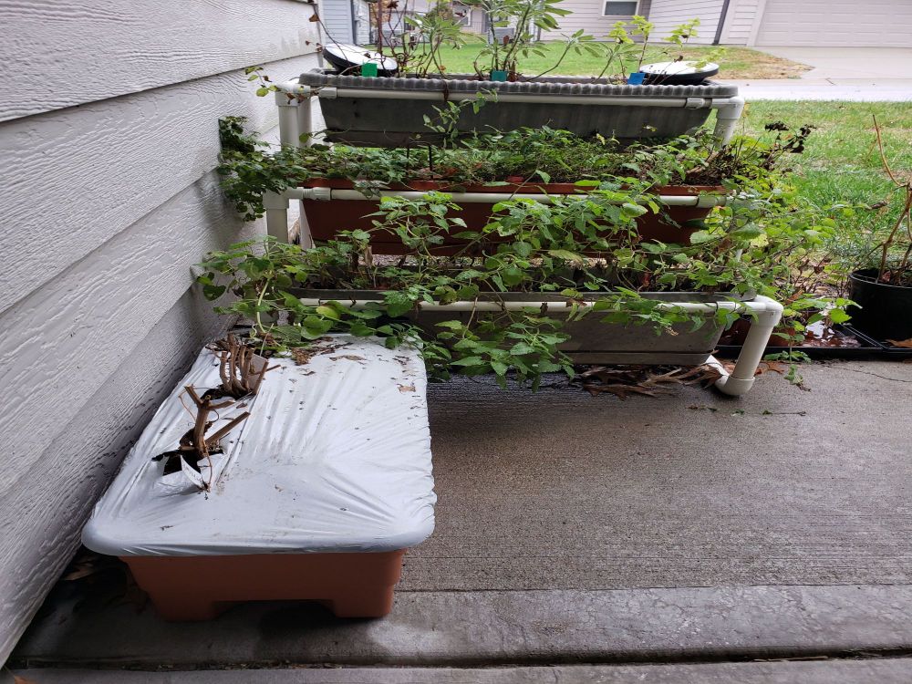EarthBox against typical planters set in PVC grow shelf.