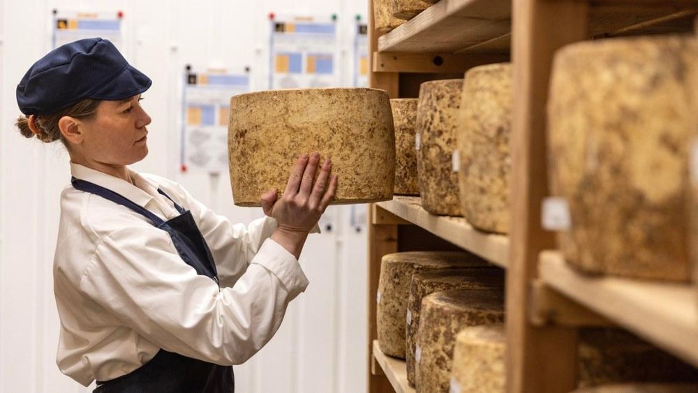 Detectives have arrested six men suspected of carrying out the Grate Cheese Robbery, in which 950 wheels of artisan raw-milk cheddar worth £300,000 were stolen