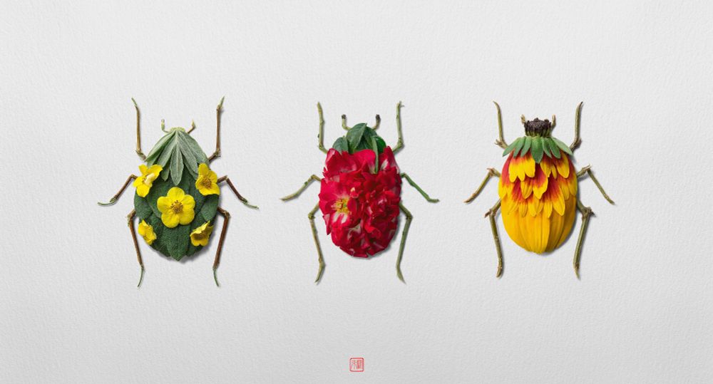 Image shows 3 designs of beetle insects, designed out of flower petals and leaves.