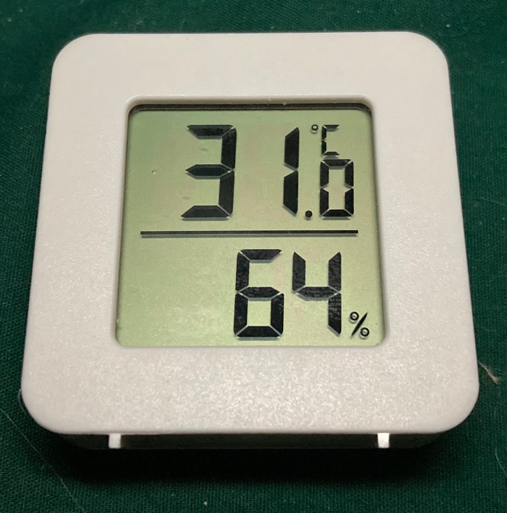 Pic of my thermometer/hydrometer showing my apartment’s temperature at 31°C and humidity at 64%.