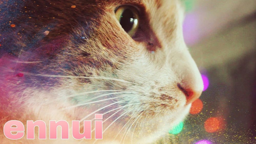 A side-on, close-up photo of the Gonz with rainbow bokeh effects applied and pink text saying 