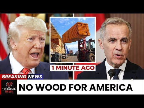 Trump DEMANDS Lumber Tariffs, But Canada SLAMS the Door — U.S. Housing IMPLODES Overnight
