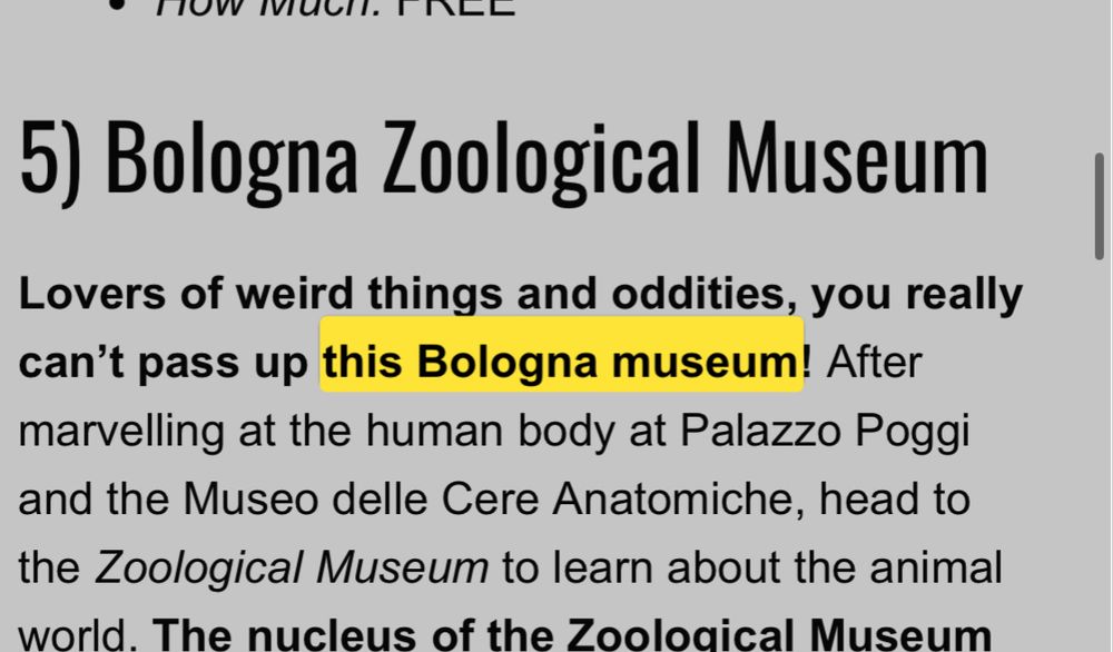 The words “this Bologna museum” highlighted on a page about museums in Bologna.