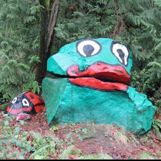 Frog Rock in Washington 