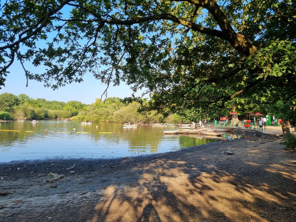 The boating lake at Hollow Ponds. In the foreground is the shade of a tree on the shore with the pond and boats in the middle and a blue sky above