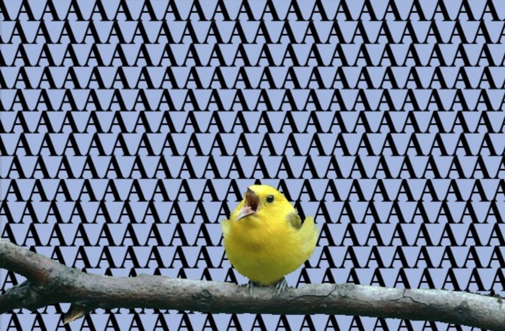 A yellow bird which appears to be screaming. The background is filled with a multitude of letters "A", once again implying a loud scream