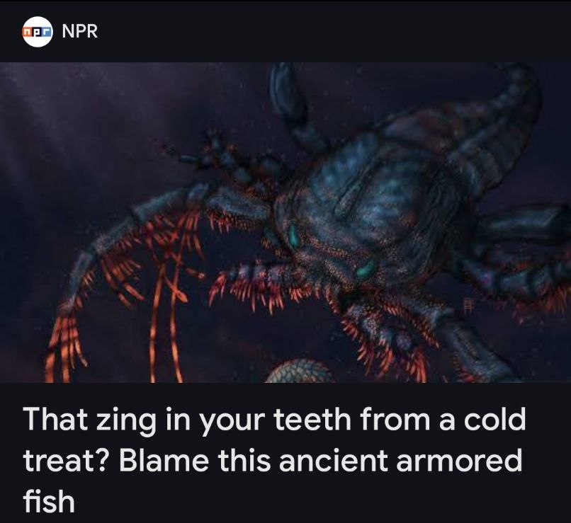 article by NPR with the title: That zing in your teeth from a cold treat? Blame this ancient fish 

picture is of some scorpion looking fish with some crazy ass mandibles.