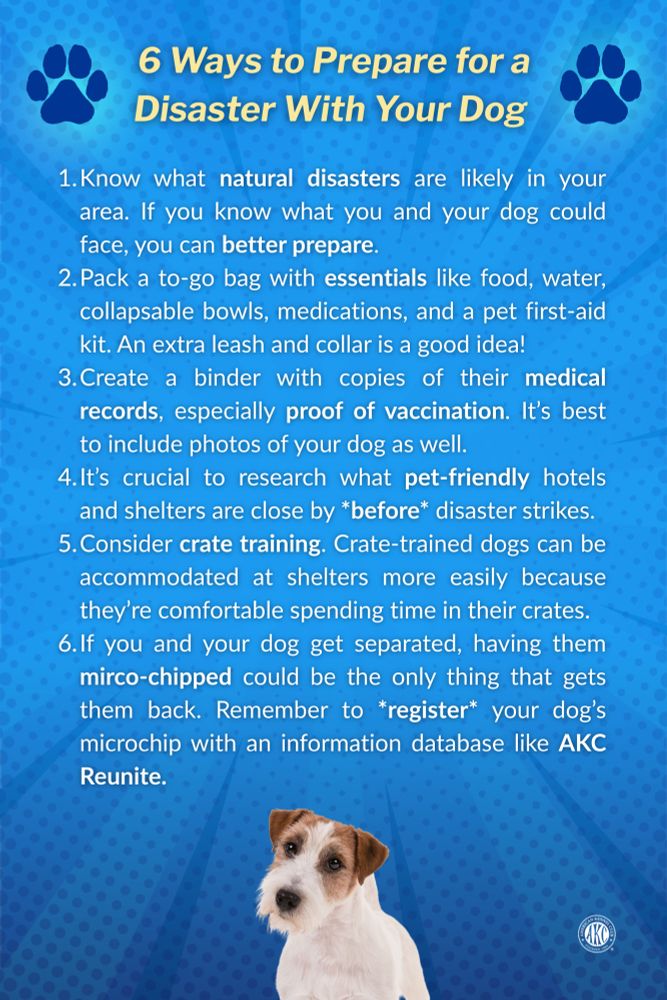 6 Ways to Prepare for a Disaster With Your Dog 

1. Know what natural disasters are likely in your area. If you know what you and your dog could face, you can better prepare. 2. Pack a to-go bag with essentials like food, water, collapsable bowls, medications, and a pet first-aid kit. An extra leash and collar is a good idea! 3. Create a binder with copies of their medical records, especially proof of vaccination. It’s best to include photos of your dog as well. 4. It’s crucial to research what pet-friendly hotels and shelters are close by *before* disaster strikes. 5. Consider crate training. Crate-trained dogs can be accommodated at shelters more easily because they’re comfortable spending time in their crates. 6. If you and your dog get separated, having them mirco-chipped could be the only thing that gets them back. Remember to *register* your dog’s microchip with an information database like AKC Reunite.