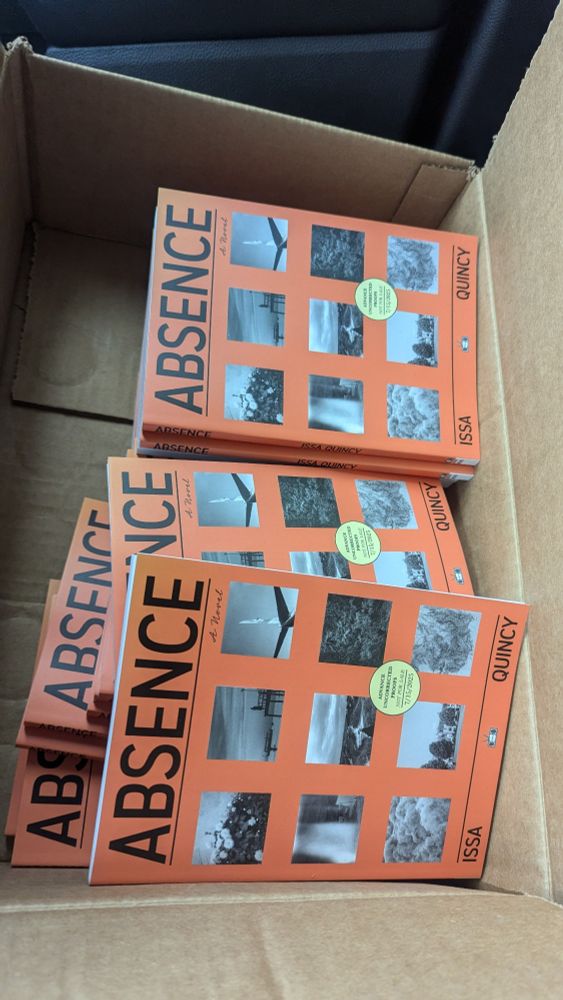 A box containing several copies of Absence by Issa Quincy. 