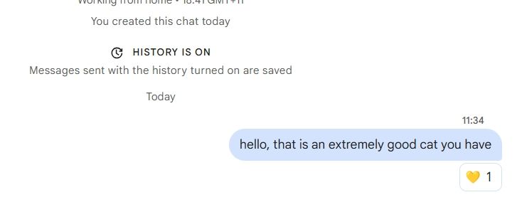 A screenshot of a new Google chat conversation with a message from me saying 'hello, that is an extremely good cat you have'
