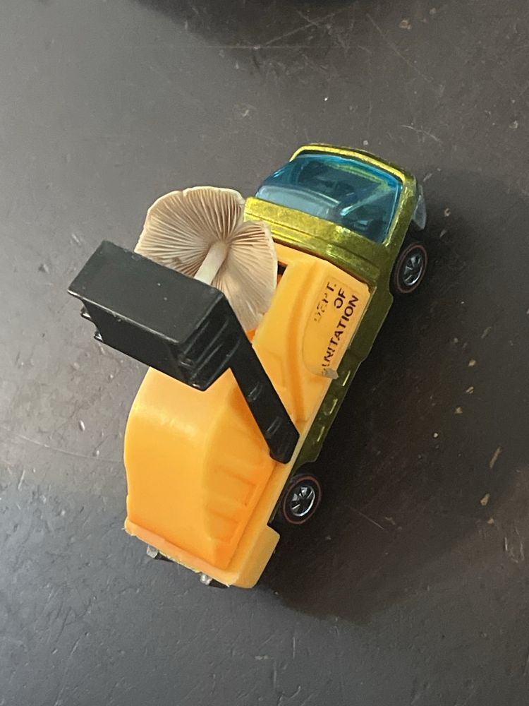 Mushroom carried away by small toy garbage truck. 