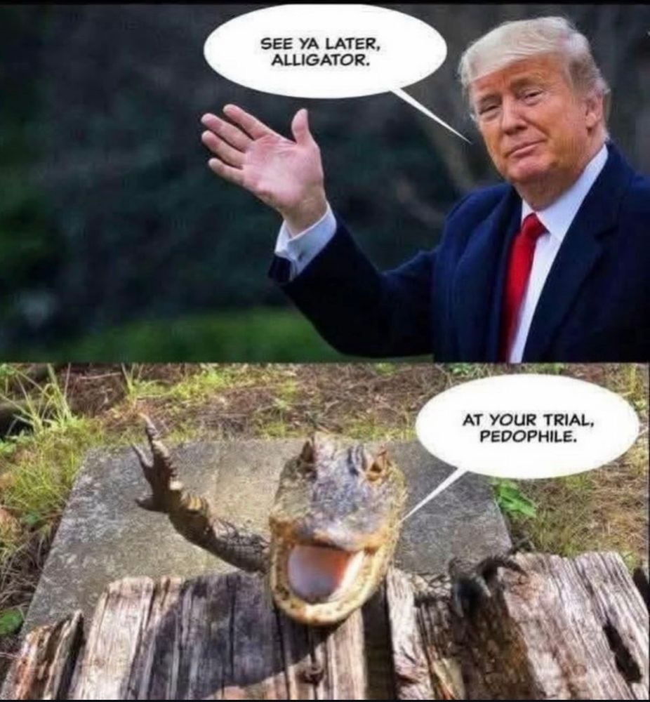 Oben Trump, der winkt mit den Worten „see you later, Alligator“, unten ein Alligator, der zurückwinkt mit den Worten „At your trial, pedophile“.
