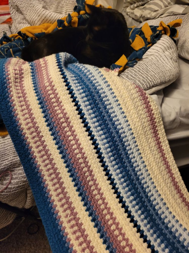 A black cat with a crocheted blanket below it