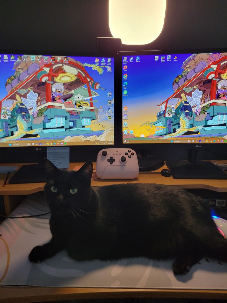 Black cat laying on the keyboard mat infront of two monitors with a Nine Sols video game background