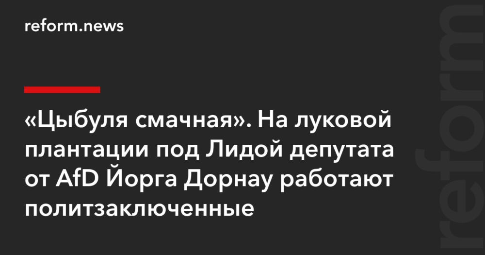 "Цыбуля смачная". На луковой плантации под Лидой депутата от AfD Йорга Дорнау работают политзаключенные