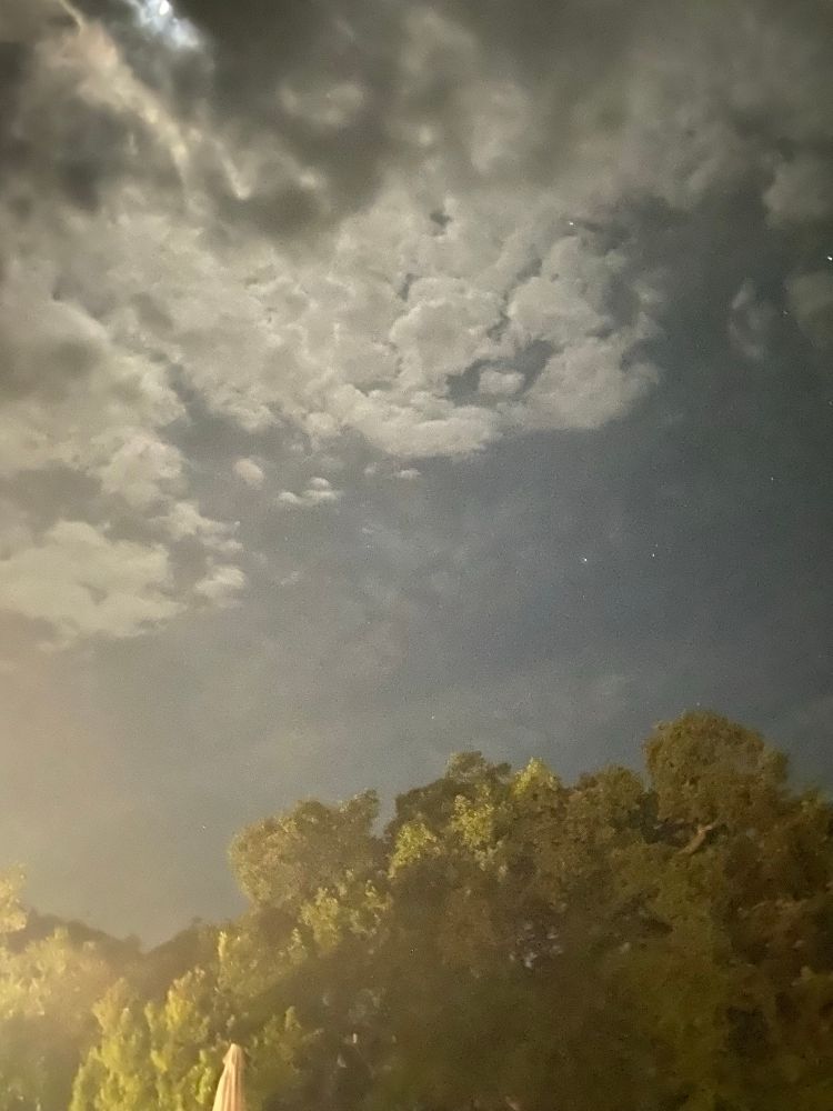 A night sky filled with clouds, with dark foliage visible at the bottom of the image. A subtle light source creates a soft glow, highlighting some clouds and trees. One cloud is smiling and sticking out its tongue.