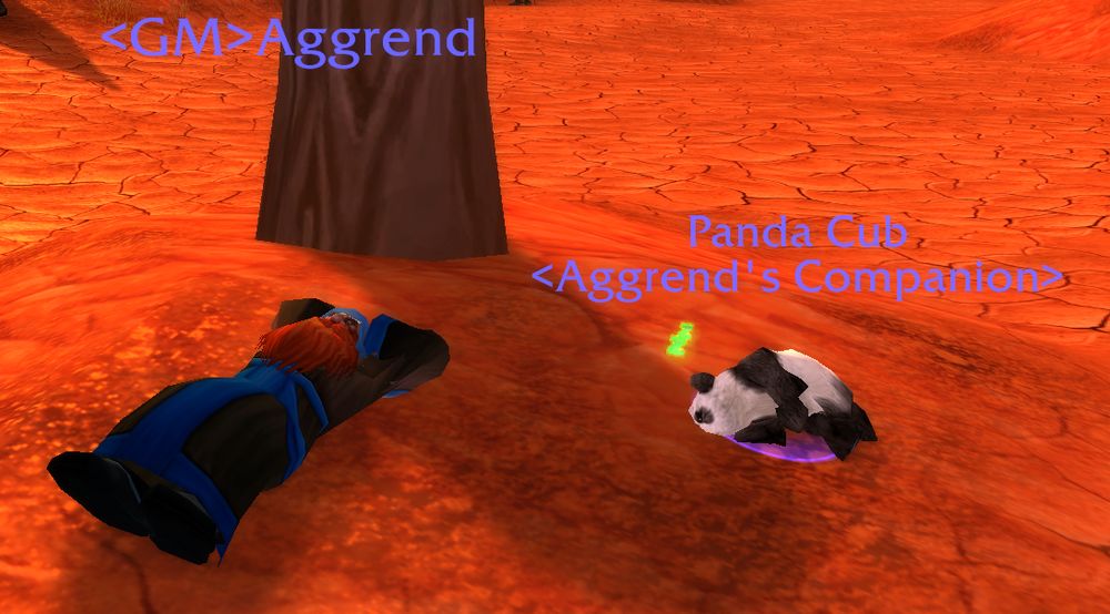A picture of a WoW Game Master taking a nap with his trusty Panda helper.