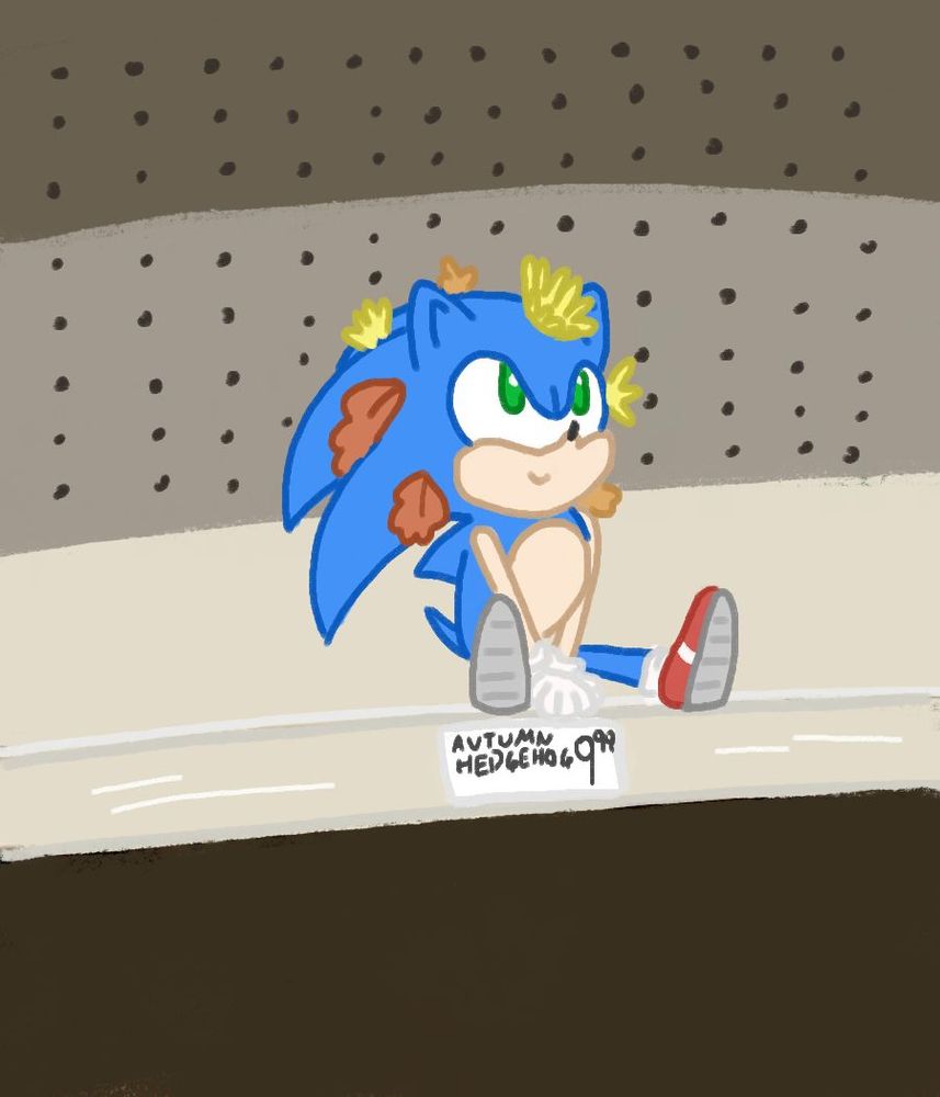 Sonic the Hedgehog sits on a store shelf with yellow flowers and orange leaves in his quills. A sticker below him reads "Autumn Hedgehog 9.99" indicating that he is for sale.