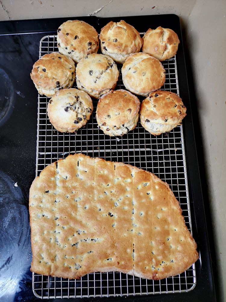 A cooling rack with 9 scones and an irregularly shaped sheet which is unseparated Garabaldi biscuits.