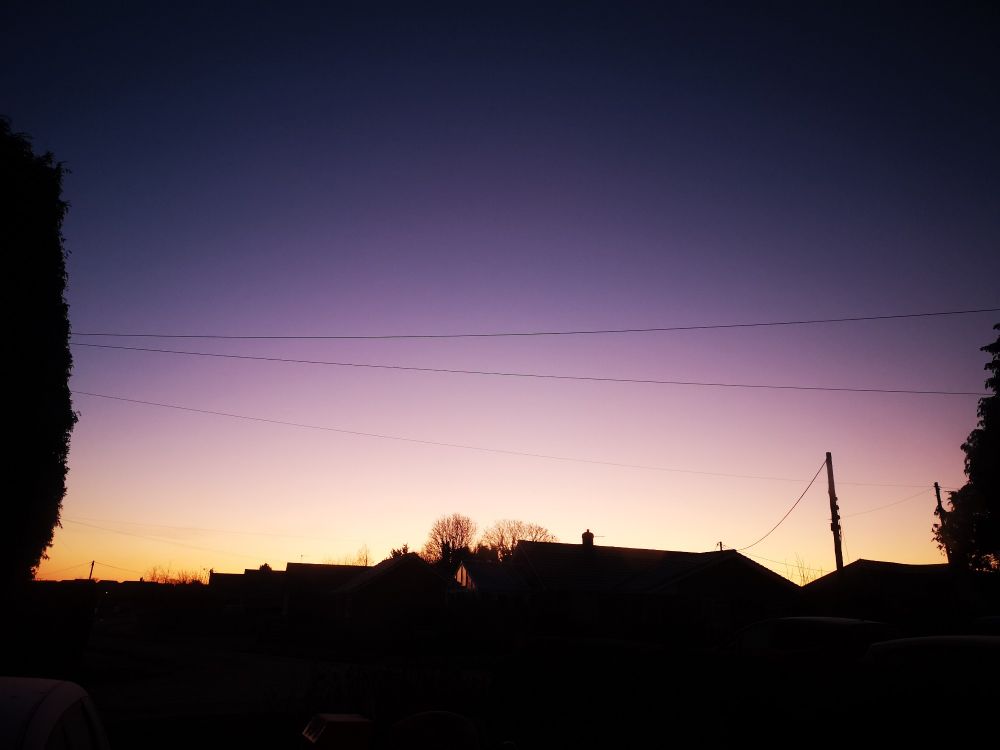 Dawn. Trees and houses form a black foreground with the cloudless sky shading from orange at the lower left through pinks to a deep purple at the top.