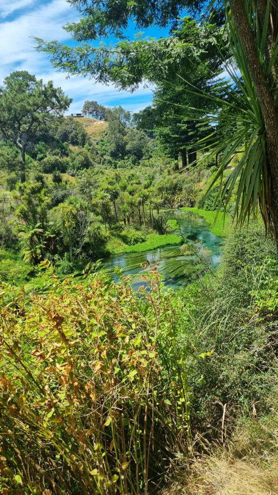 Photo of Te Waihou Blue Spring, place of outstanding natural beauty.