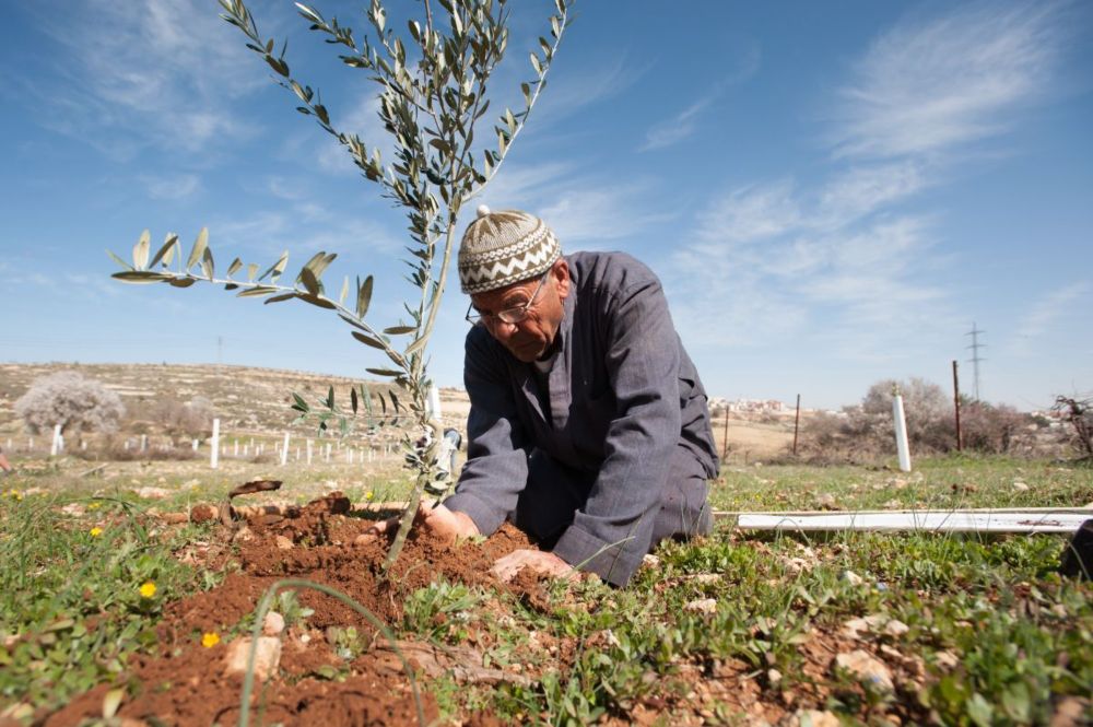 ¡Reconozcamos el derecho de Palestina a decidir su futuro!