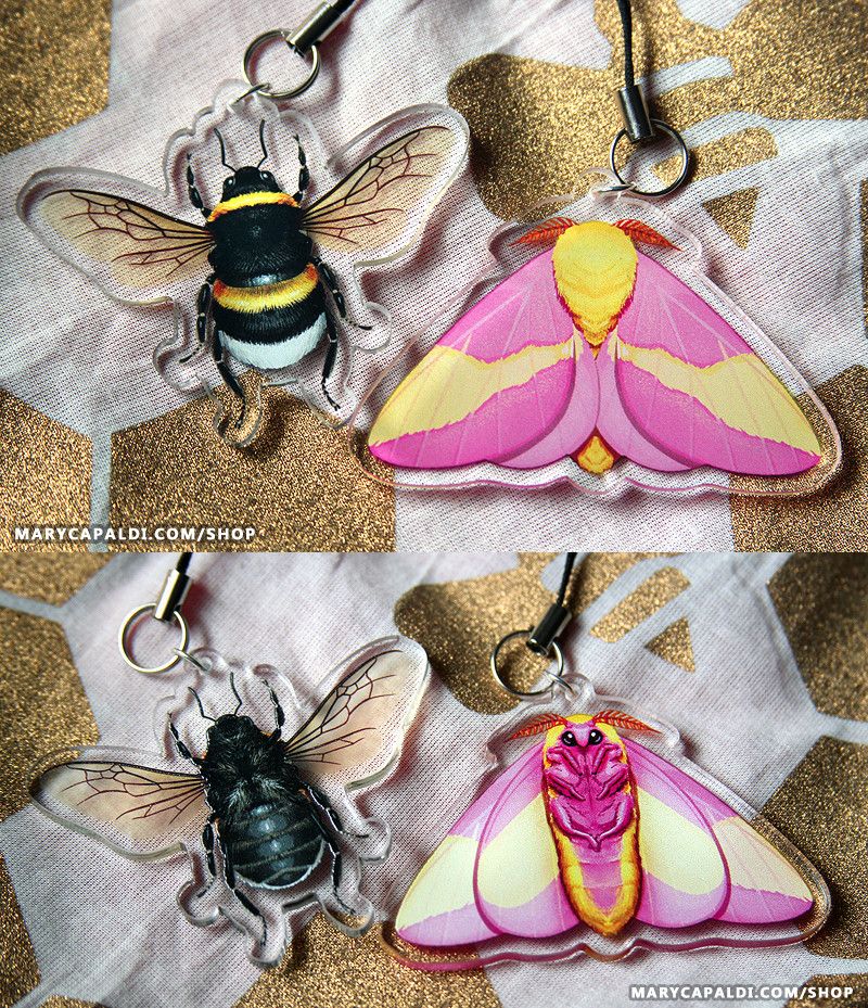Photos of both sides of double-sided clear acrylic charms depicting a bumblebee and rosy maple moth. The illustrations are fairly realistic to the insects' actual anatomy while still leaning toward cuteness. The bee has bright yellow stripes and a white butt as well as translucent wings through which the cloth surface behind the charms can be seen. The moth is pink with yellow markings; its face cannot be seen from the top view, but the bottom view shows its large eyes and legs held snugly close to the body.