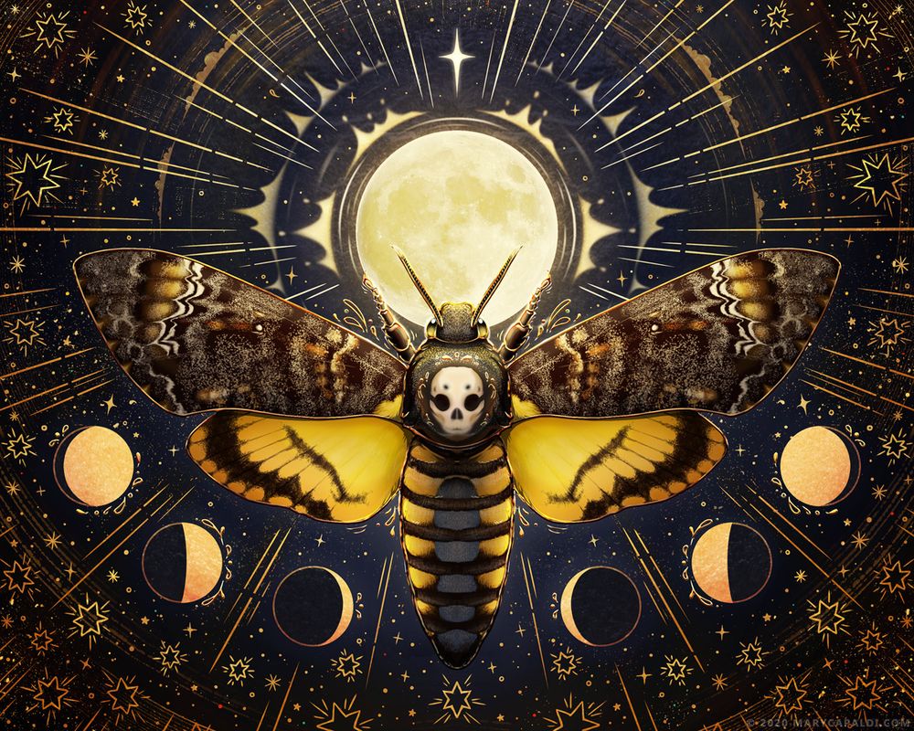 Digital artwork of a death's-head hawk moth drawn in stylized realism with a golden outline, holding a large moon with many rays coming out of it that spread across the remainder of the image. The moth itself has brown and black intricately patterned upper wings with a bit of yellow and red, yellow lower wings with black stripes, a brown upper body and face with a soft skull shape on its back, and a lower body with dark stripes that is blue down the center and yellow on either side. The background fades to a darker blue around the image edges and is filled with many stylized stars, some stylized as six points with rays and others more like dots, four-points, or asterisk shaped. Below the open wings of the moth are three moon phases on each side.