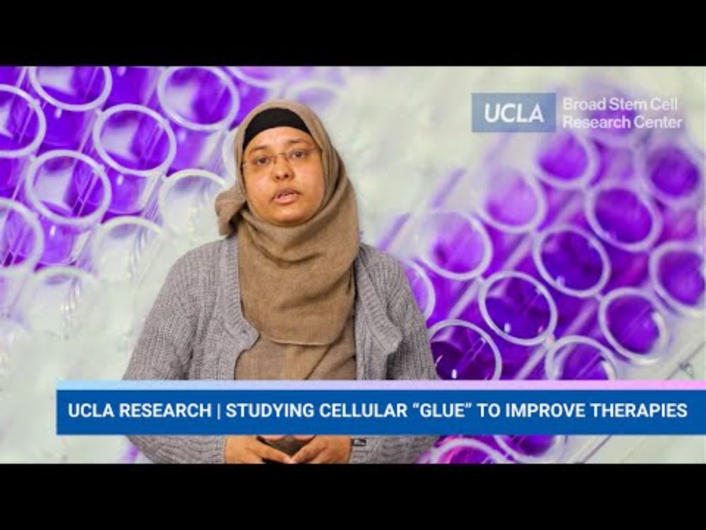 Studying Cellular “Glue" to Improve Stem Cell Therapies | Zeenat Rashida, Ph.D.