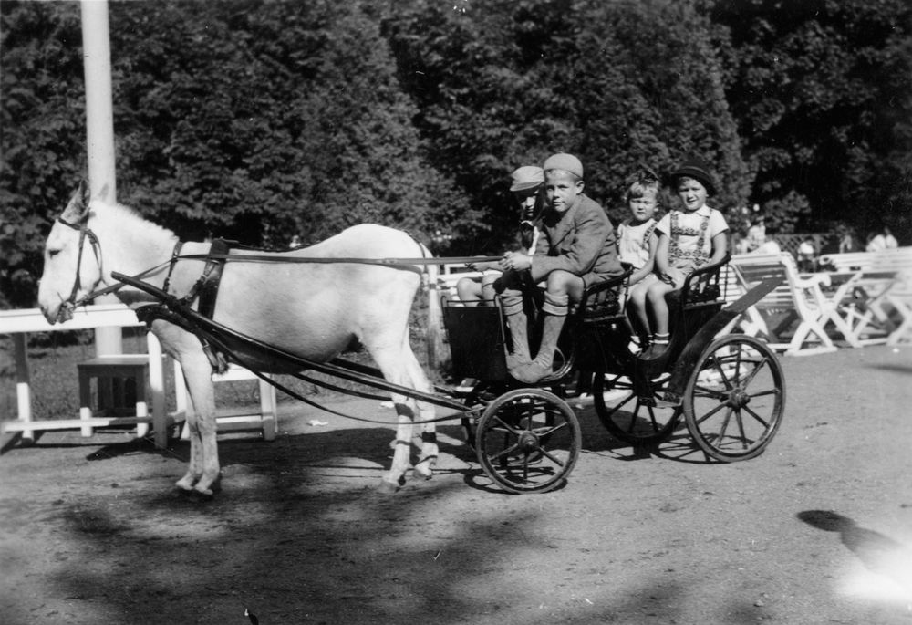Photographer's children on a donkey carriage at Korkeasaari Zoo. (Jorma Pohjanpalo, 1938)