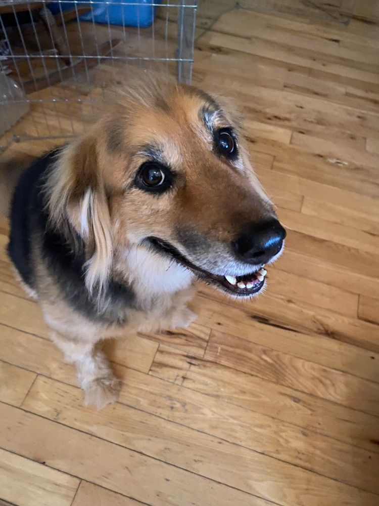 Athena giving a smile to the camera as she sits on the floor