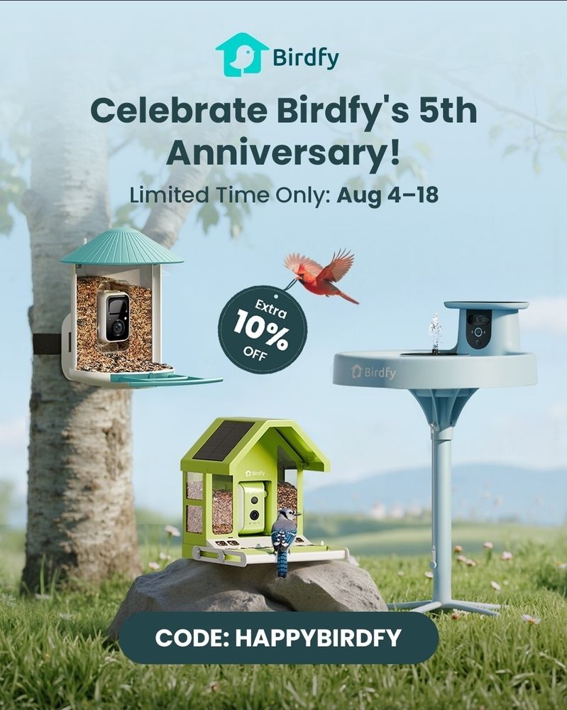 An image with one Birdfy feeder on a tree, one metal one on a rock, and a Bath Pro bird bath on the ground. A Northern Cardinal is flying in the air with a sign: "extra 10% off" The other text on the image is "Celebration Birdfy's 5th Anniversary!" Limited time only, August fourth through the eighteenth. 