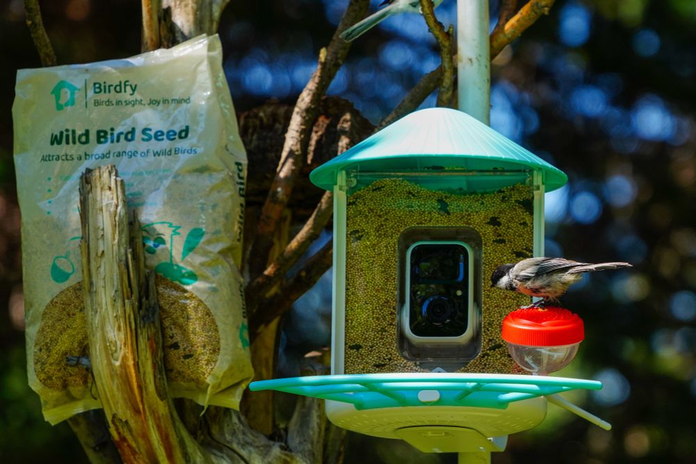 A Black-capped Chickadee perched on a hummingbird attachment on a Birdfy feeder. A bag of Birdfy brand seed is between a branch and a tree trunk to the right. 