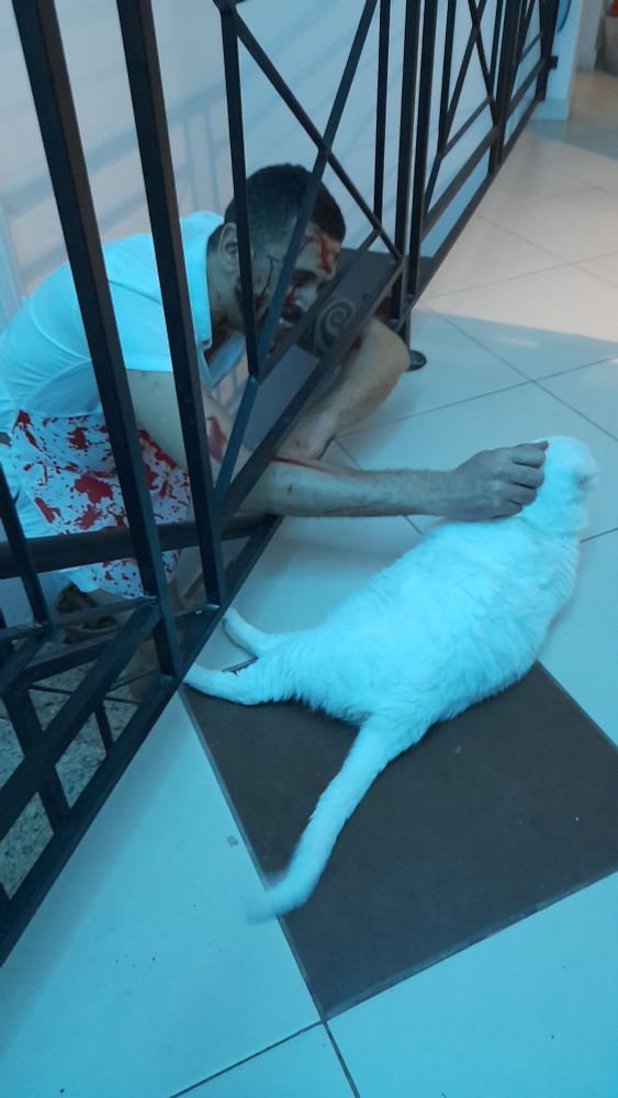 O Kadu atrás da grade de uma escada fazendo carinho num gato branco deitado. O Kadu tá com avental e roupa ensanguentados e todo feliz fazendo carinho no bicho