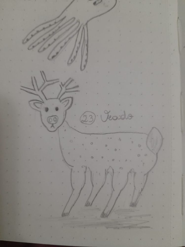 desenho em lápis de veado