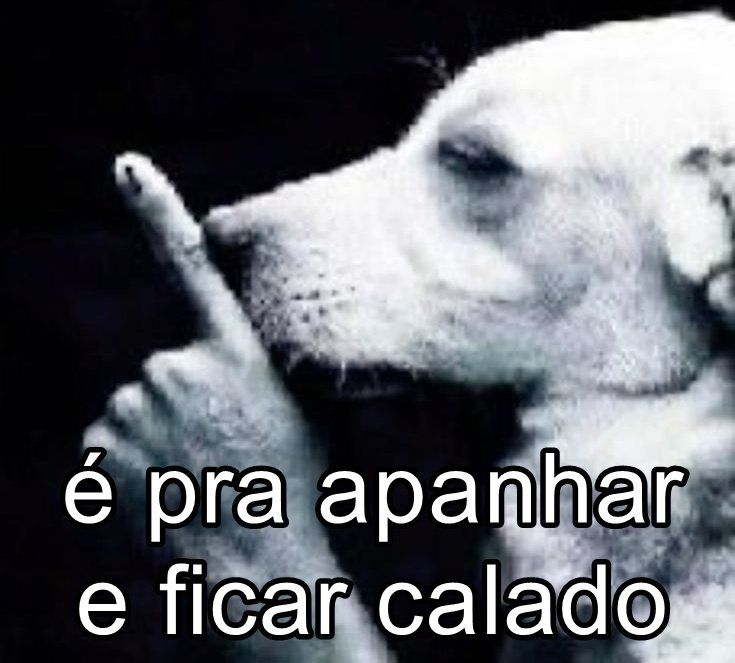 meme de cachorro em perfil com uma montagem de dedo humano colocando o dedo indicador esticado e os outros não, fazendo sinal de "silêncio", na frente da boca e focinho do cachorro. Está escrito "é pra apanhar e ficar calado"