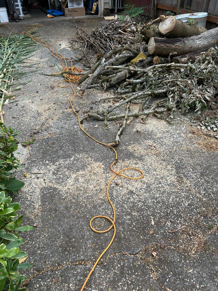 A patch of driveway covered in bark dust from a quickly chopped up fallen tree, with a pile of branches and wood to the right. A single orange extension cord leads through the middle of the frame into a knotted mess before ending inside an opened garage door