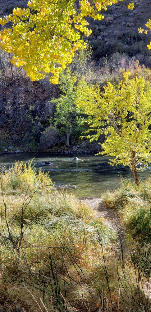 Truckee River
