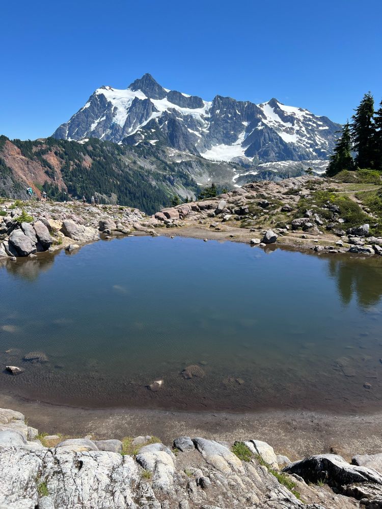 A blue mountain lake in the foreground reflects a few trees that are along the edge with Mt. Shuksan in the background. 
