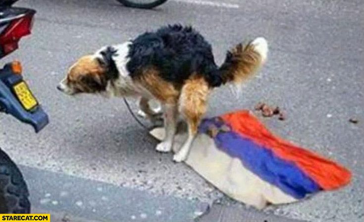 A dog gives the Katsap flag its proper salute