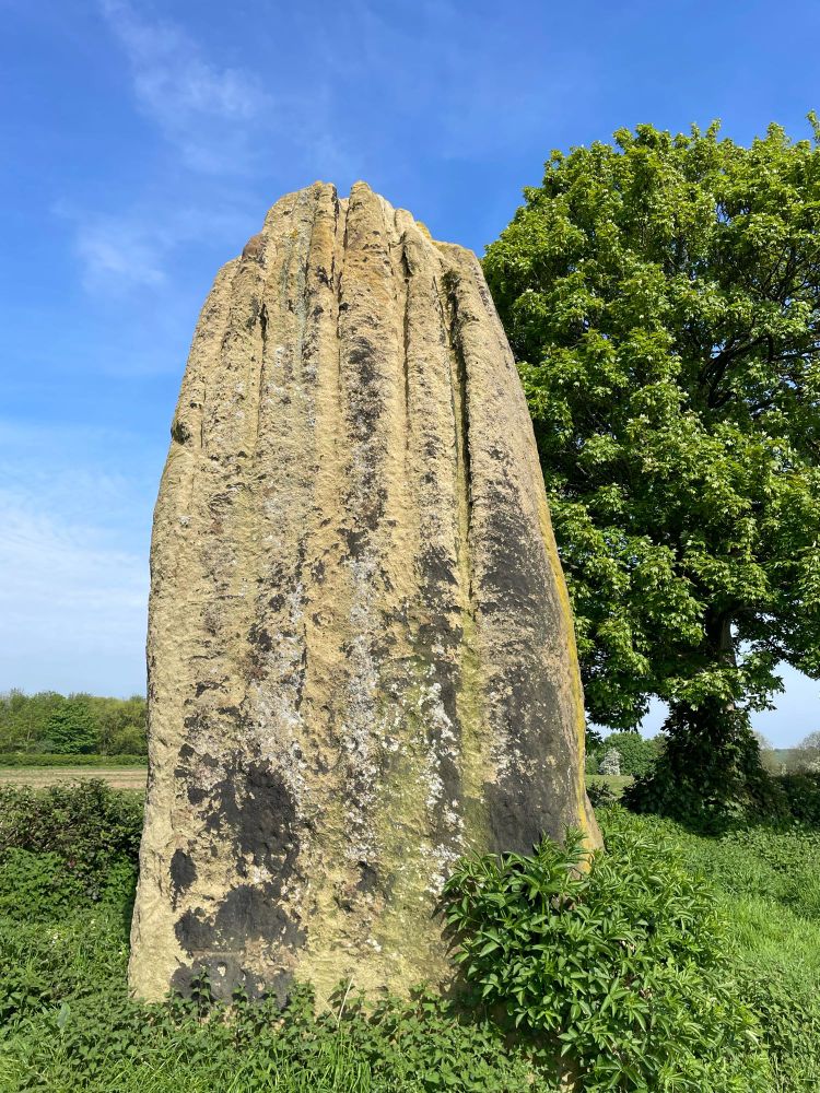 A large standing stone, with vertical grooves eroded into its surface