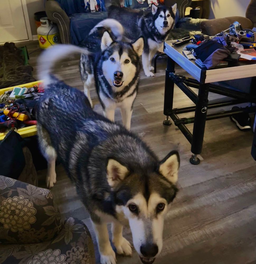 Meet obsession two three and four. What’s my first? He’s sleeping in the other room. :)