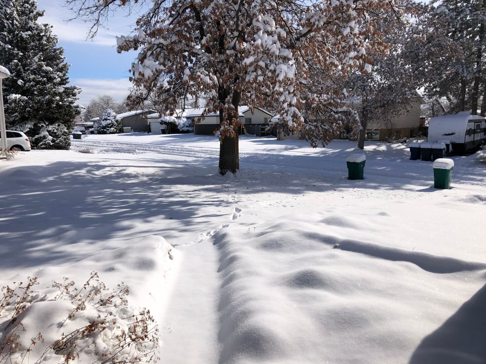 Picture of snow-covered yard and what looks like a snow-covered walkway with a tree in the center. You can see a street with a row of houses lining it behind the tree. 
