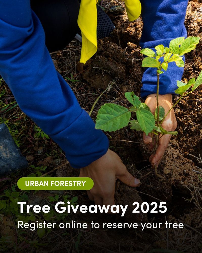 A person in a blue long-sleeve shirt and yellow gloves planting a small tree in soil, promoting the 'Tree Giveaway 2025' event by Urban Forestry, with a call to register online to reserve a tree.