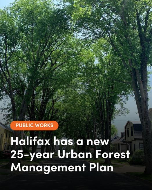 A tree lined Halifax street with text "Public Wroks, Halifax has a new 25-year Urban Forest Management Plan"