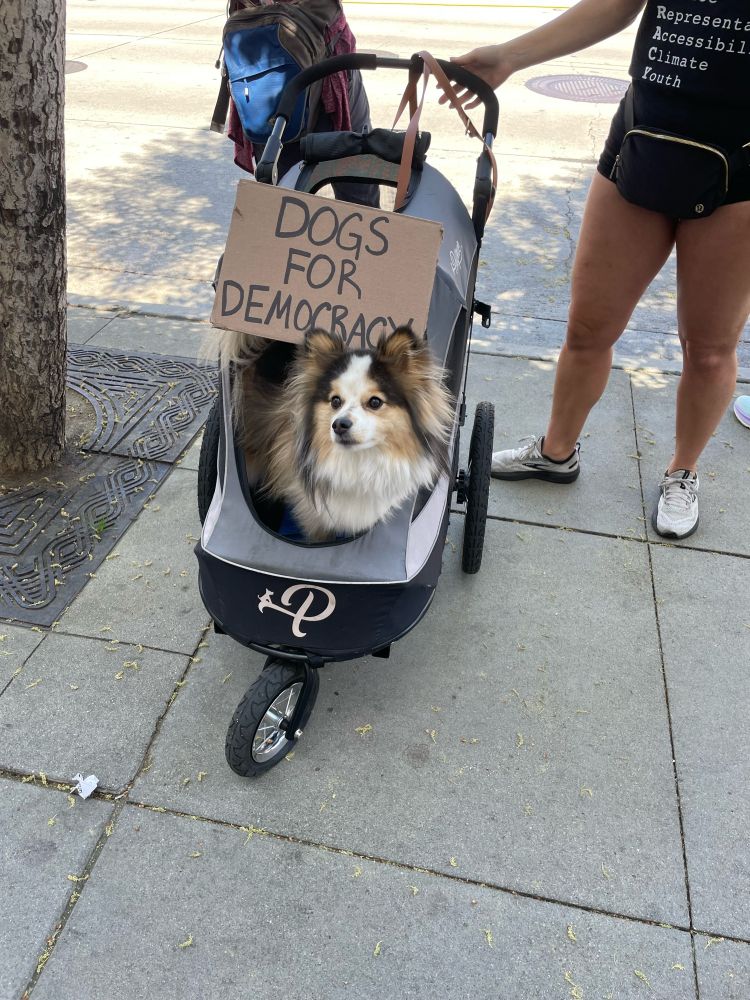 Dogs for democracy sign with a dog in a stroller 