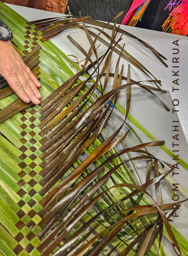 Green and brown harakeke being woven together to form a mat. The weaver is starting to pull back the brown whenu so the next row can be started.